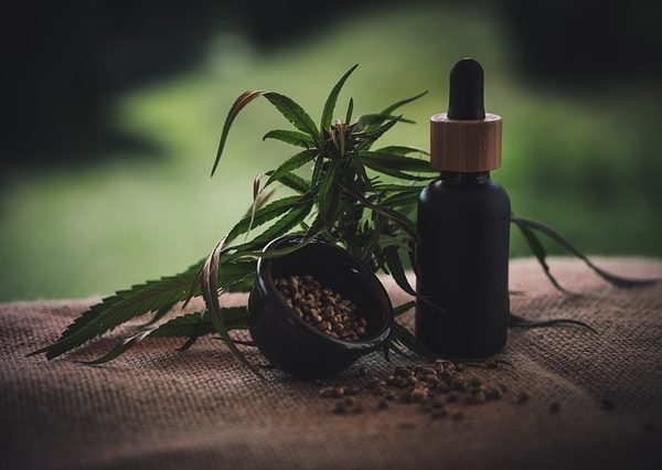 Comment trouver du CBD de qualité pour votre chat stressé ?