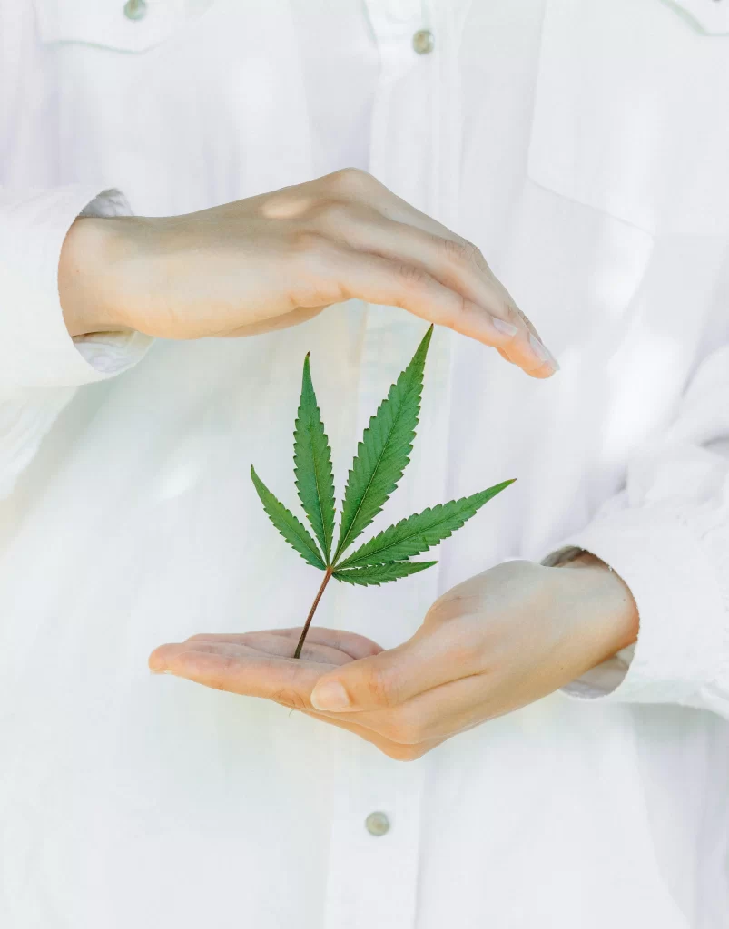 Comment le CBD Influence Notre Humeur ?